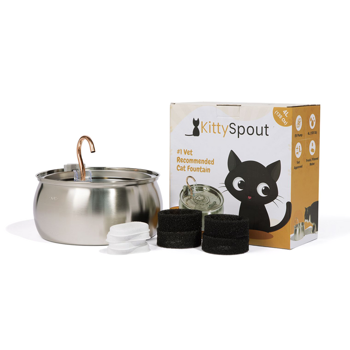 Catlyst - Health & Happiness Cat Kit