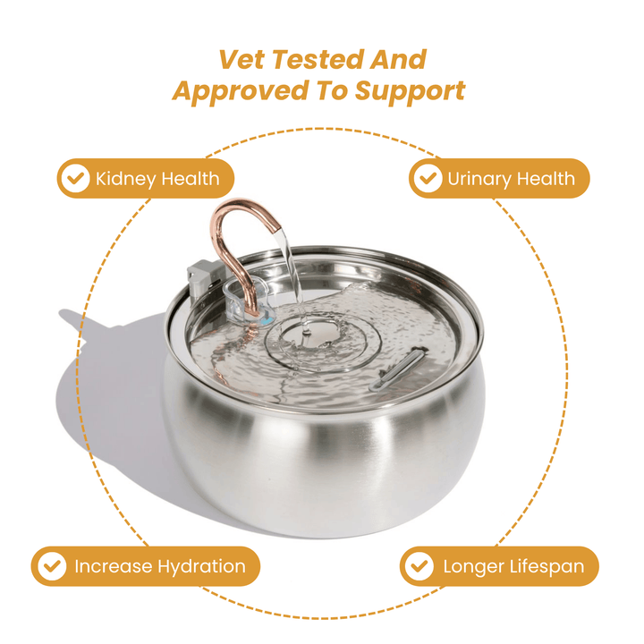 Catlyst - Health & Happiness Cat Kit