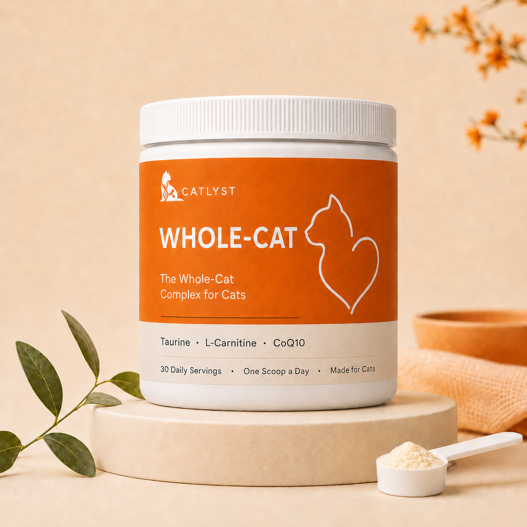 Whole-Cat BOGO
