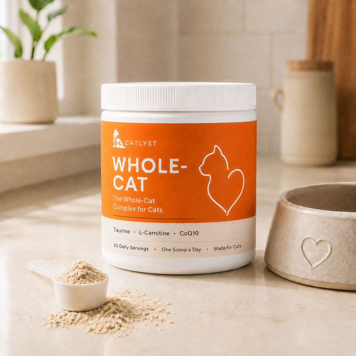 Whole-Cat BOGO
