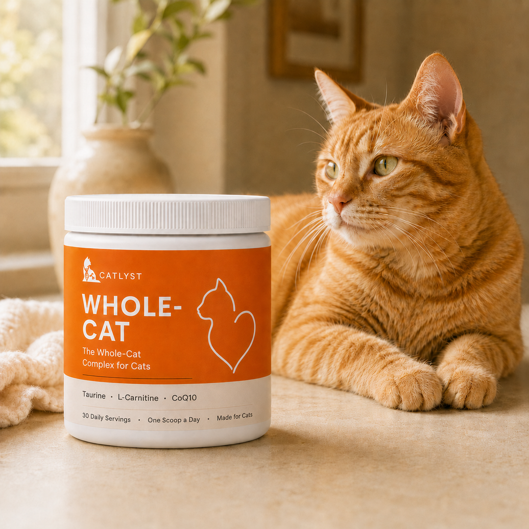 Whole-Cat BOGO