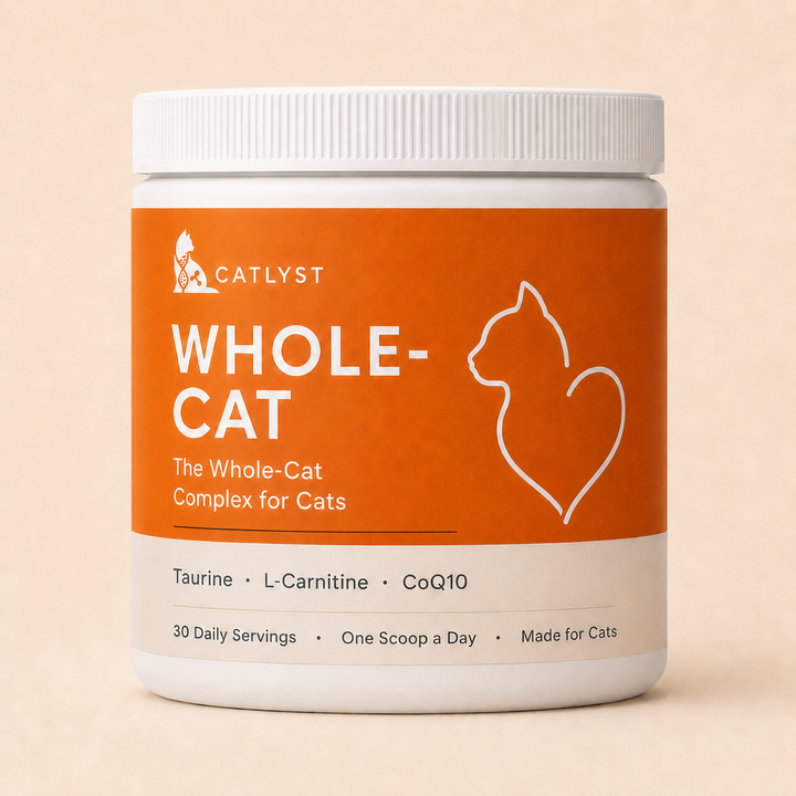 Whole-Cat BOGO