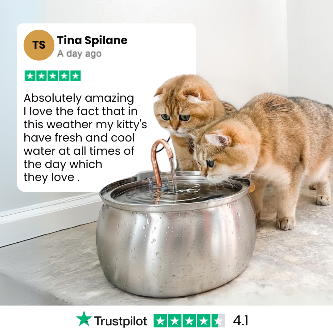 Catlyst - Health & Happiness Cat Kit