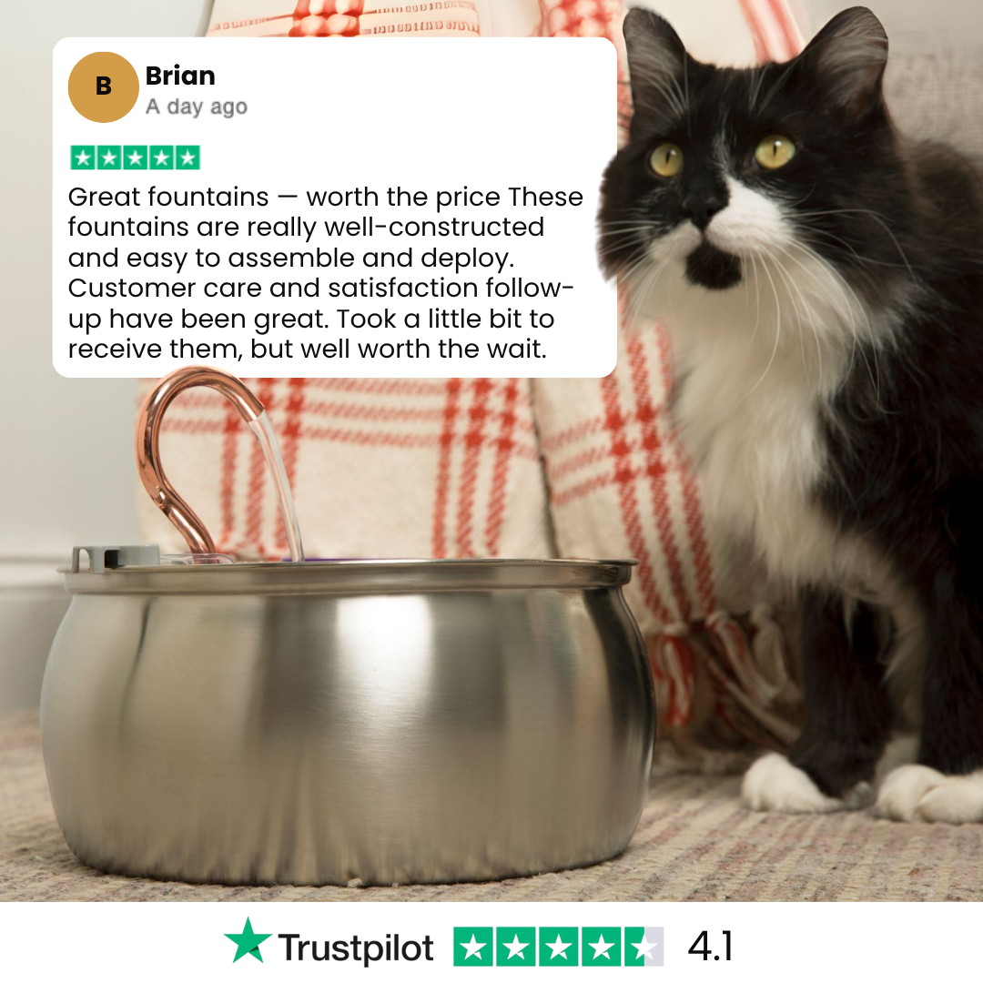 Catlyst - Health & Happiness Cat Kit