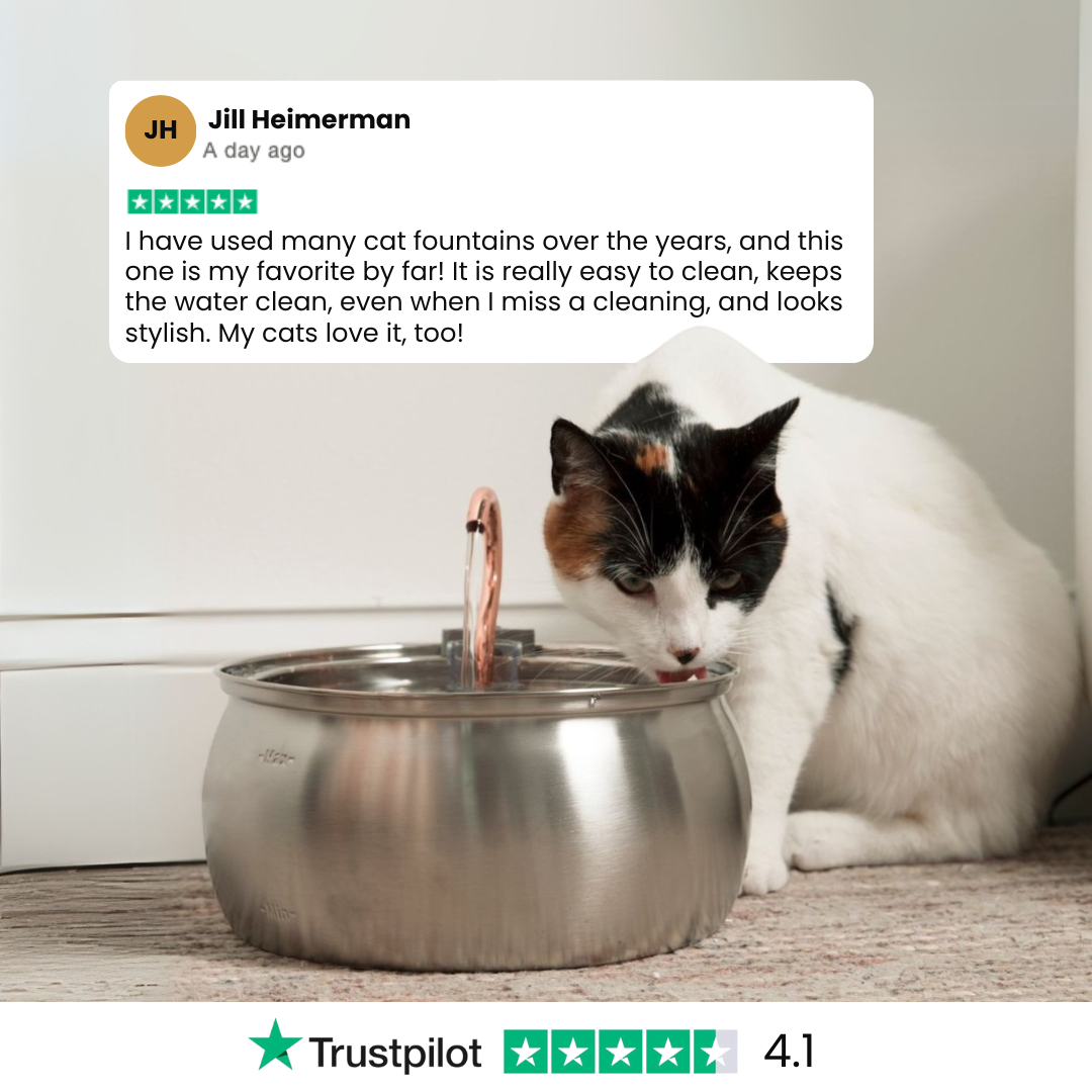 Catlyst - Health & Happiness Cat Kit