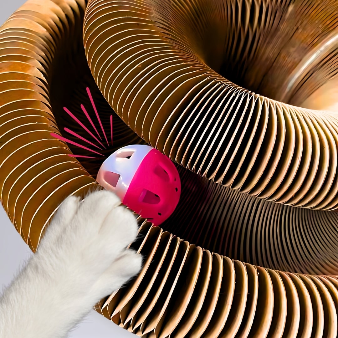 Paws & Play