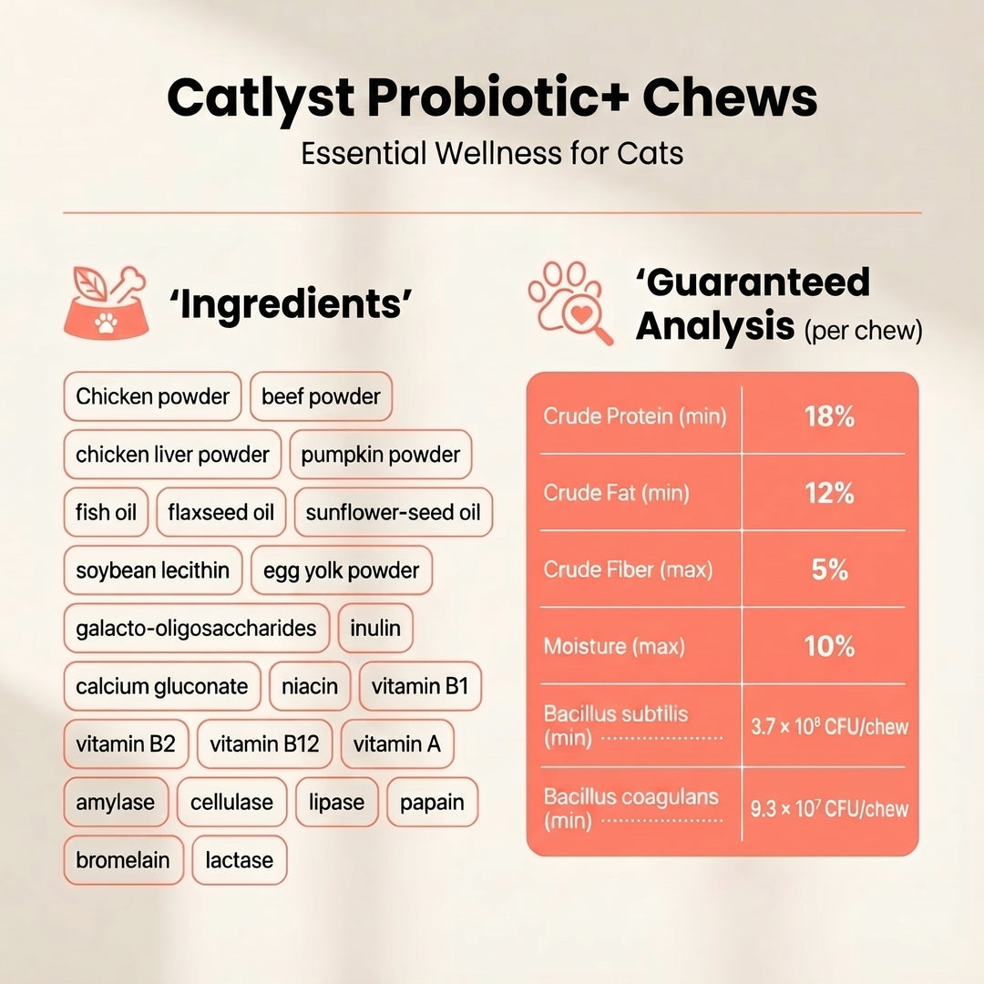 Probiotic+ Soft Chews - Make Sure They Actually Absorb It