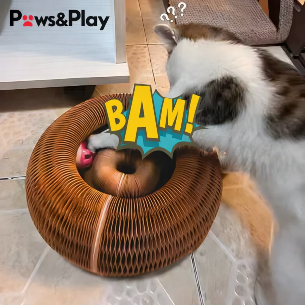 Paws & Play