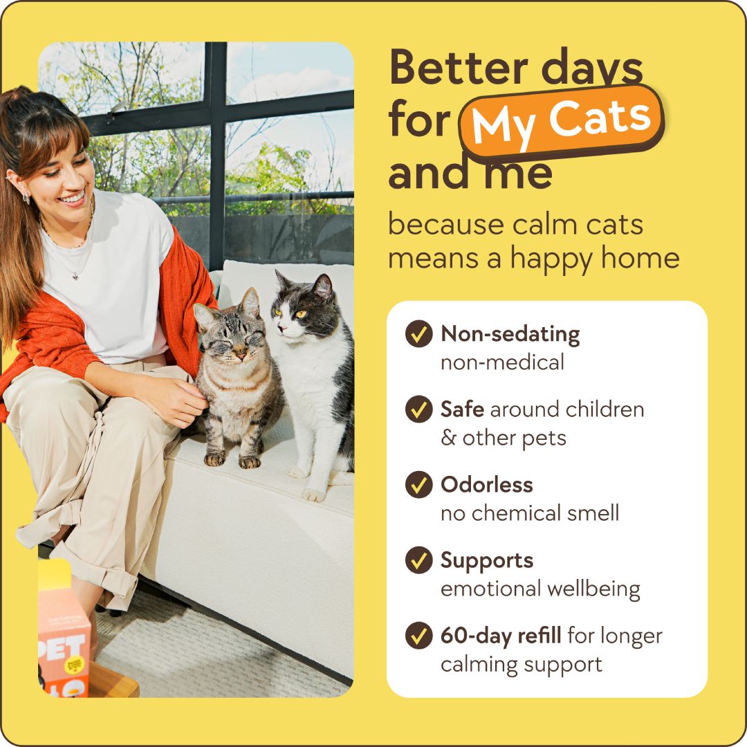 Rosie Cat's Calming Diffuser