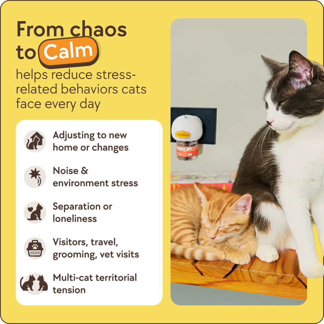 Rosie Cat's Calming Diffuser